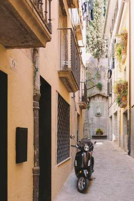 Velo Vern 3 Luxury Penthouse W Views Of City Wall Gérone Extérieur photo